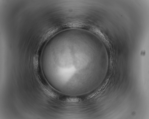 X0000101180202200806271259