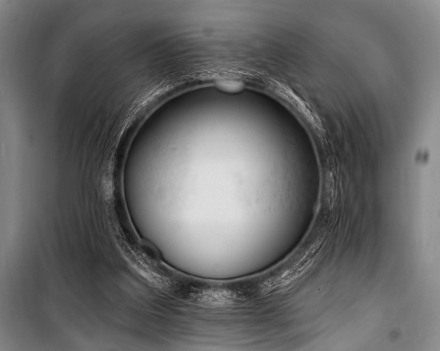 X0000101180203200806271259