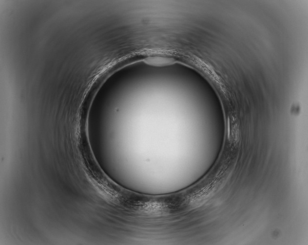X0000101180204200806271259