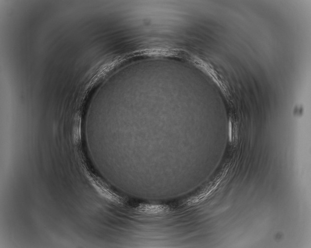 X0000101180205200806271259
