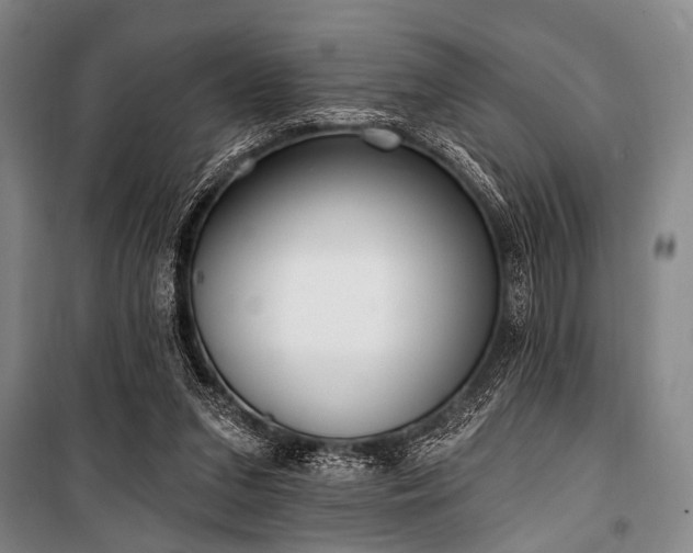 X0000101180207200806271259