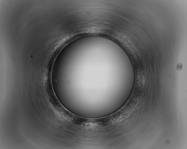 X0000101180208200806271259