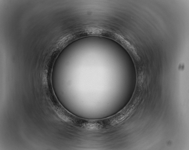X0000101180209200806271259