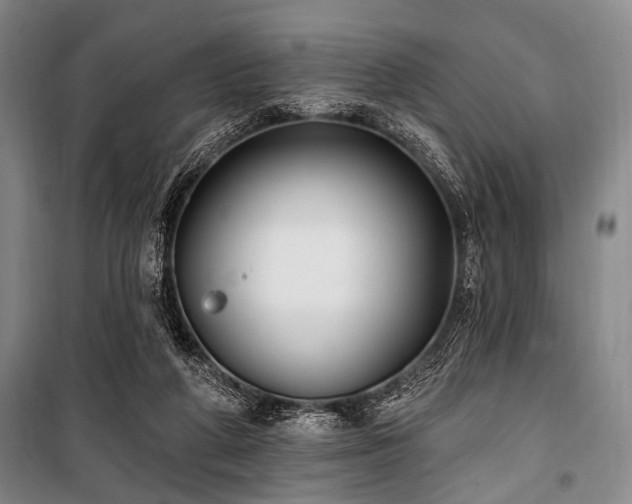 X0000101180210200806271259
