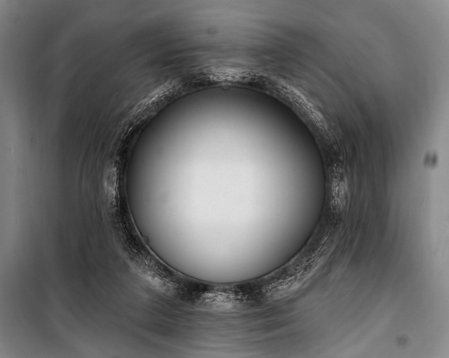 X0000101180211200806271259