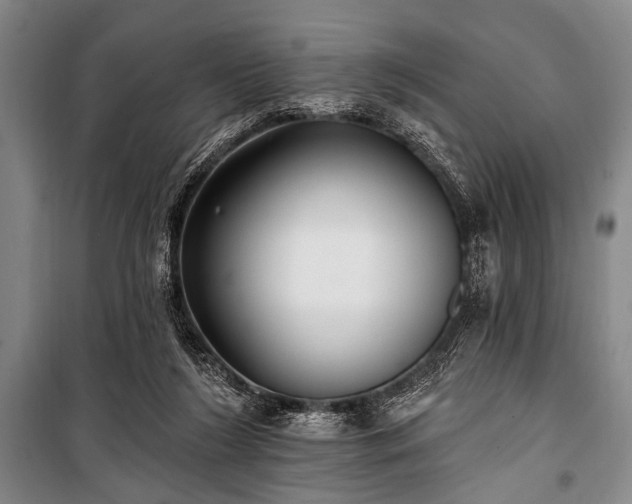 X0000101180212200806271259