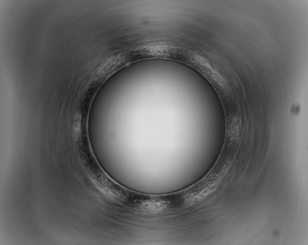X0000101180213200806271259