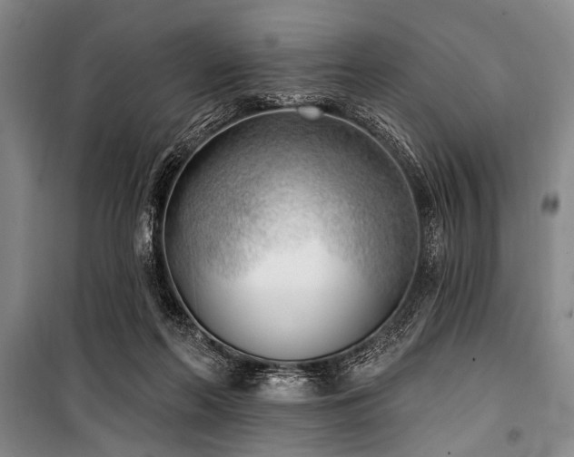 X0000101180214200806271259