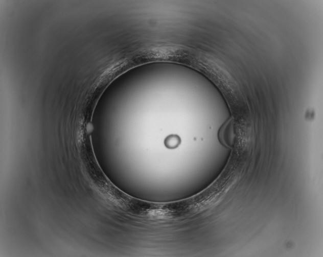X0000101180216200806271259