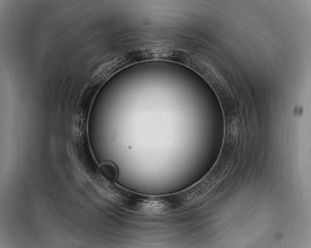 X0000101180218200806271259