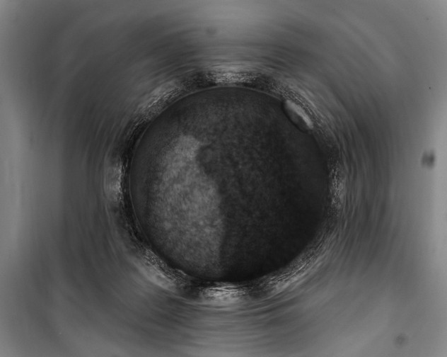 X0000101180219200806271259