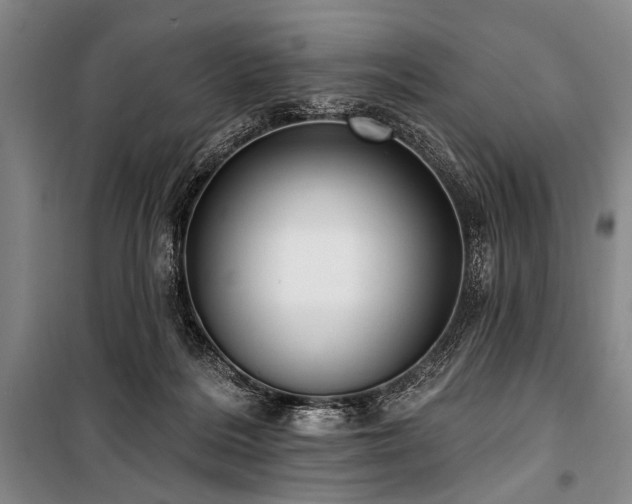 X0000101180220200806271259