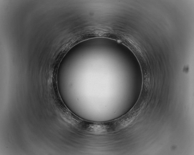 X0000101180221200806271259