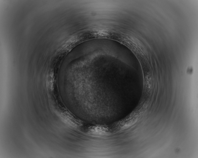 X0000101180223200806271259
