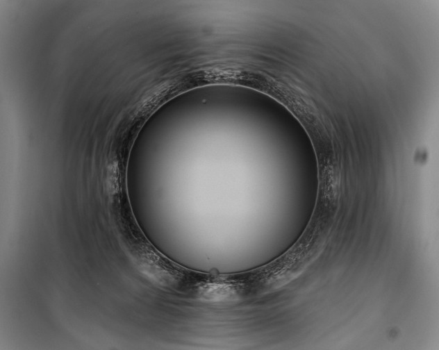 X0000101180224200806271259