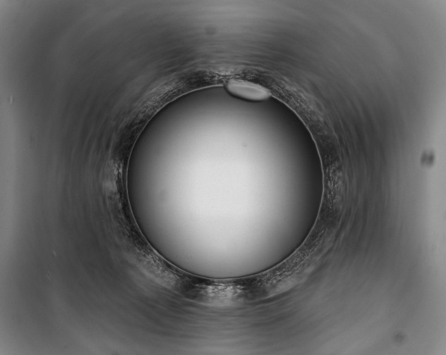 X0000101180225200806271259