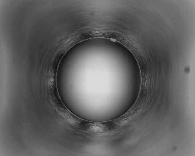 X0000101180226200806271259