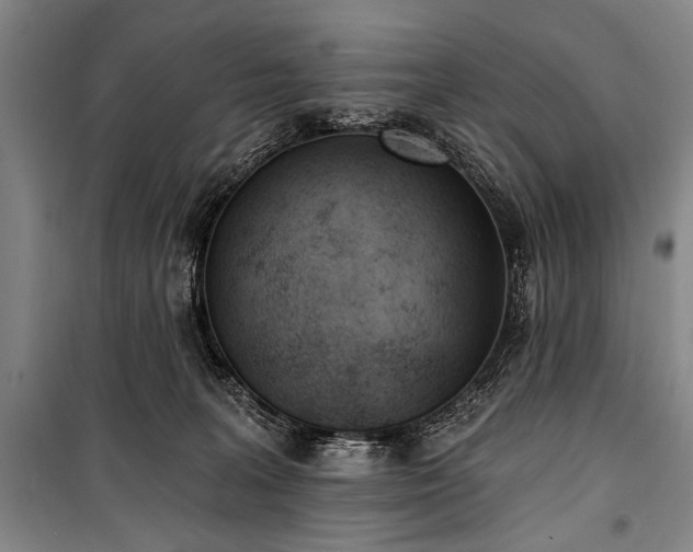 X0000101180227200806271259