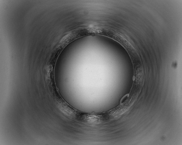 X0000101180229200806271259