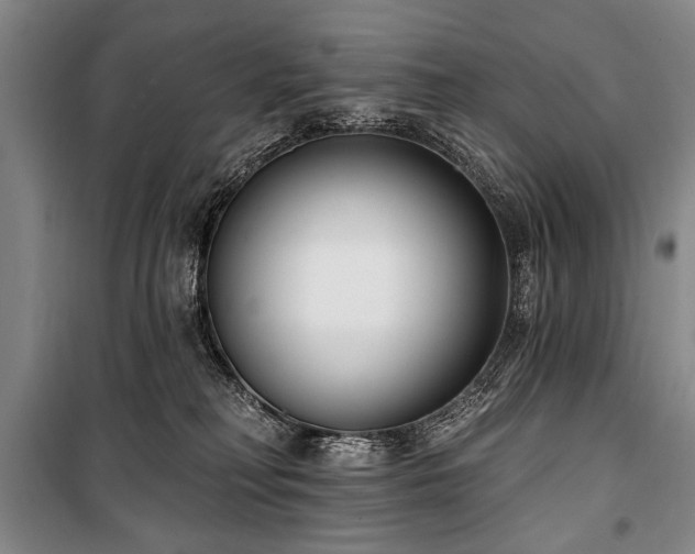 X0000101180230200806271259
