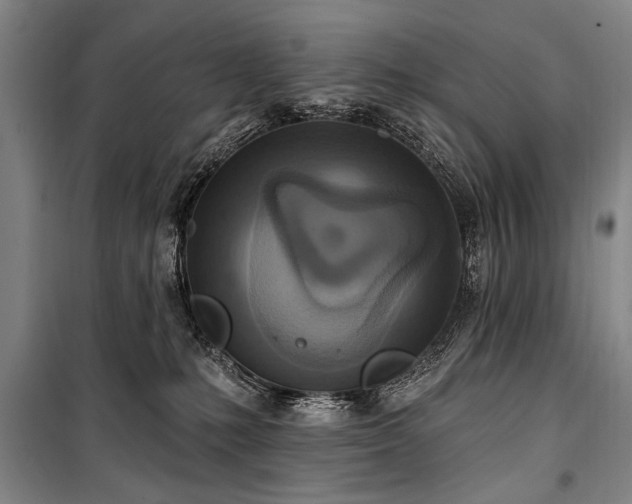 X0000101180231200806271259