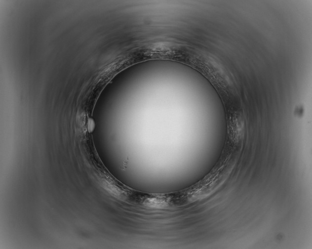 X0000101180232200806271259