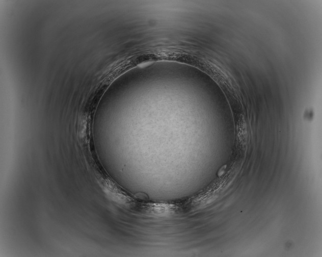 X0000101180233200806271259