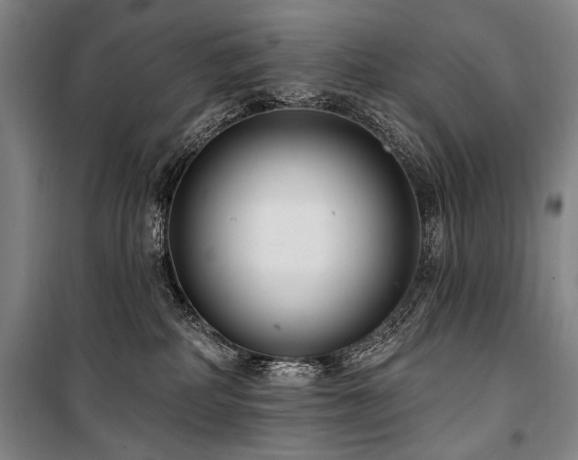 X0000101180234200806271259