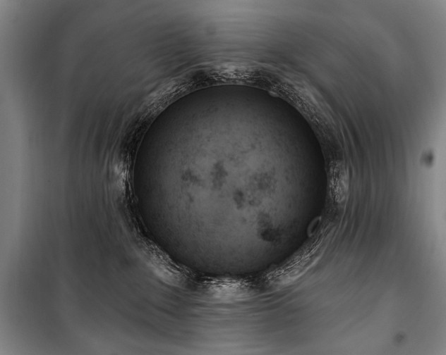 X0000101180235200806271259