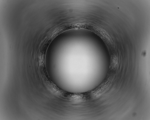X0000101180236200806271259
