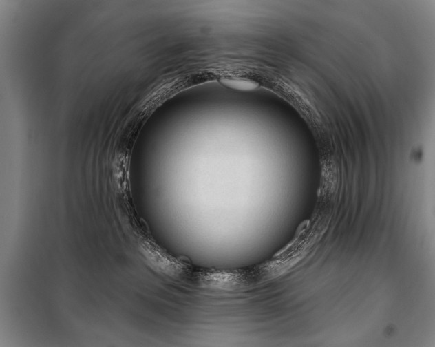 X0000101180237200806271259