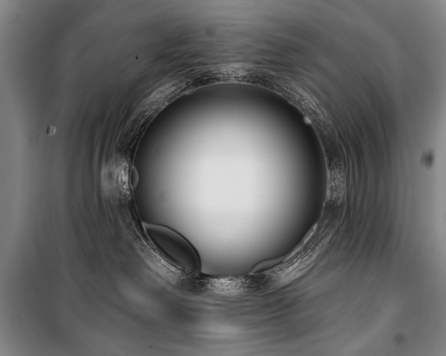 X0000101180238200806271259