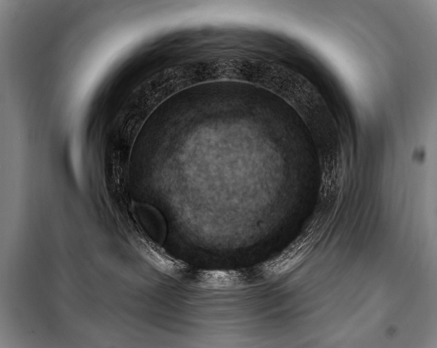 X0000101180239200806271259