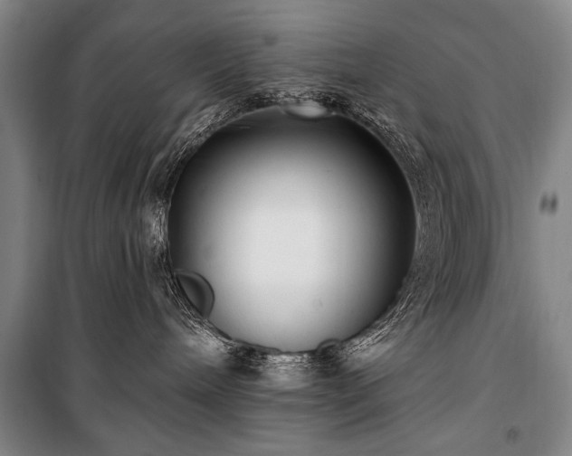 X0000101180240200806271259