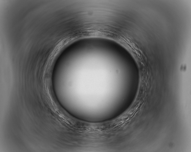 X0000101180241200806271258