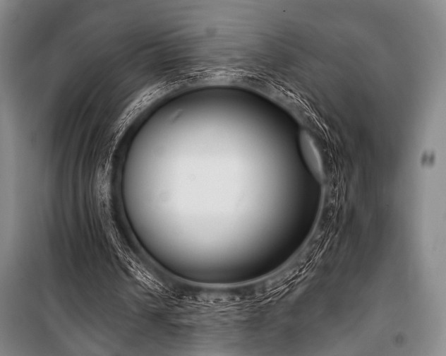 X0000101180242200806271258