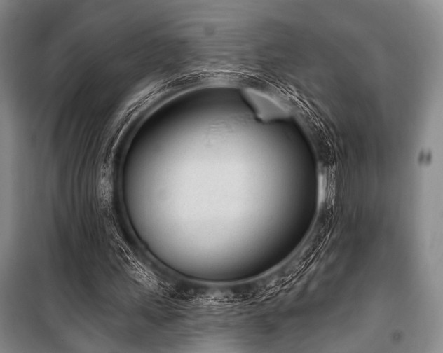 X0000101180243200806271258