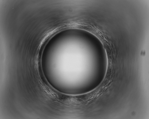 X0000101180244200806271258