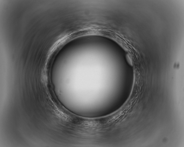X0000101180245200806271258