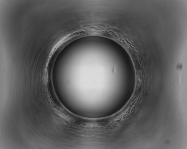 X0000101180246200806271258