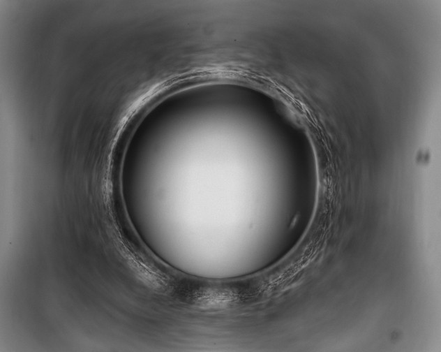 X0000101180248200806271258