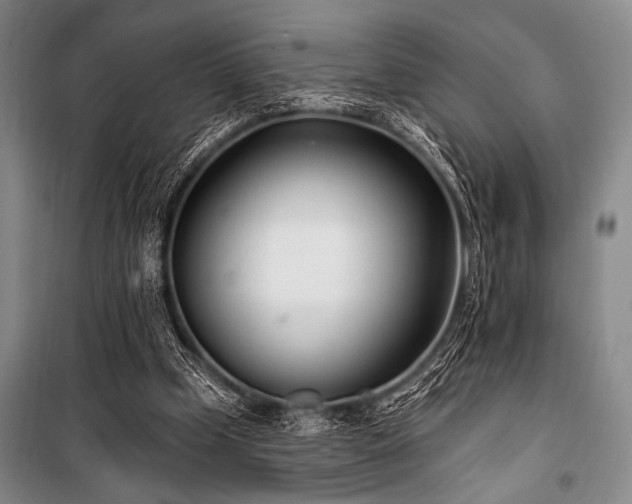 X0000101180249200806271258
