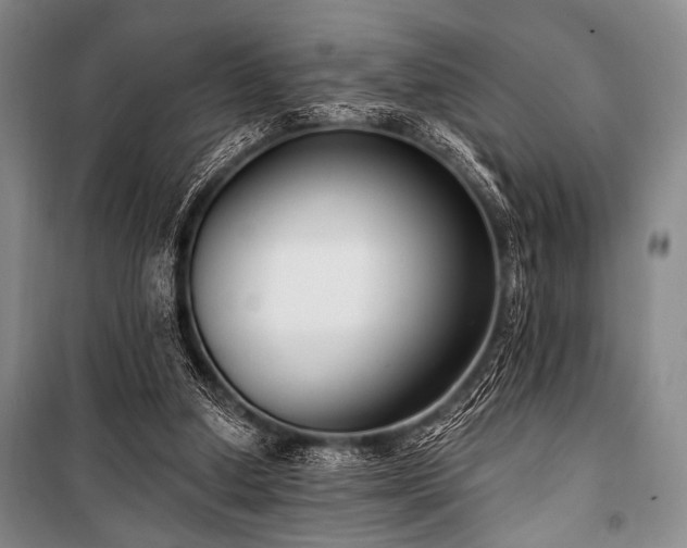 X0000101180250200806271258