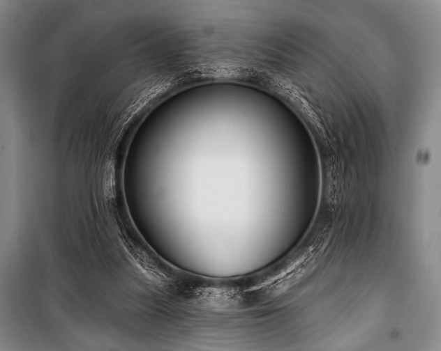 X0000101180251200806271258
