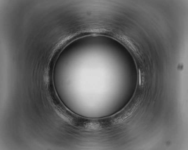 X0000101180252200806271258