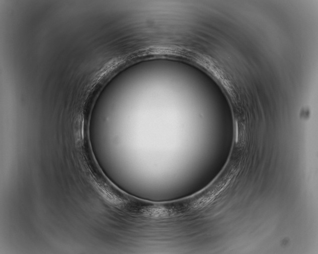 X0000101180253200806271258