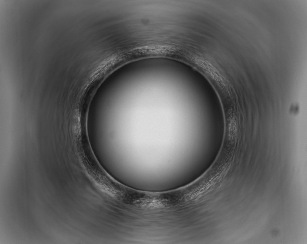 X0000101180254200806271258