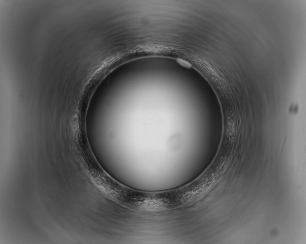 X0000101180256200806271258