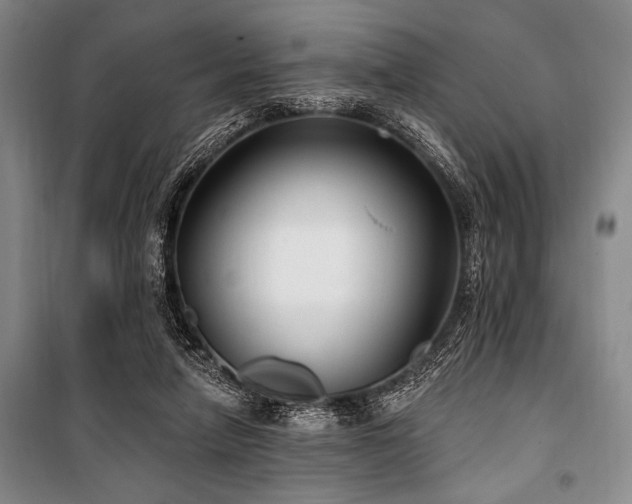 X0000101180258200806271258