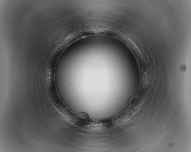 X0000101180260200806271258